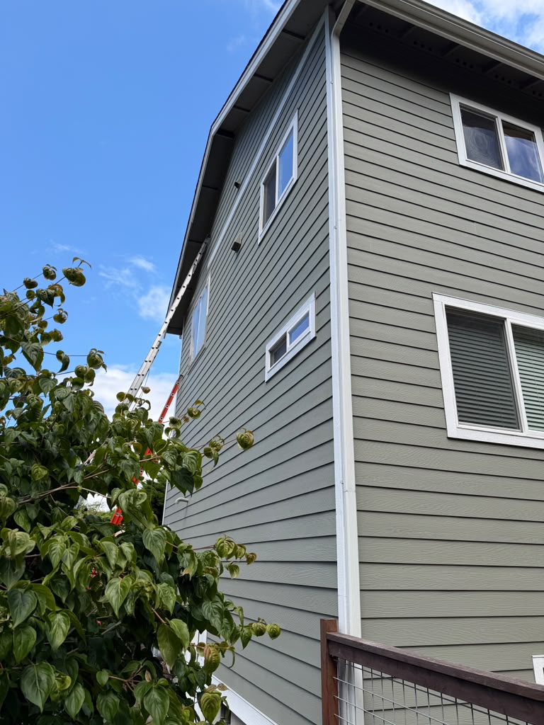 Exterior Paint