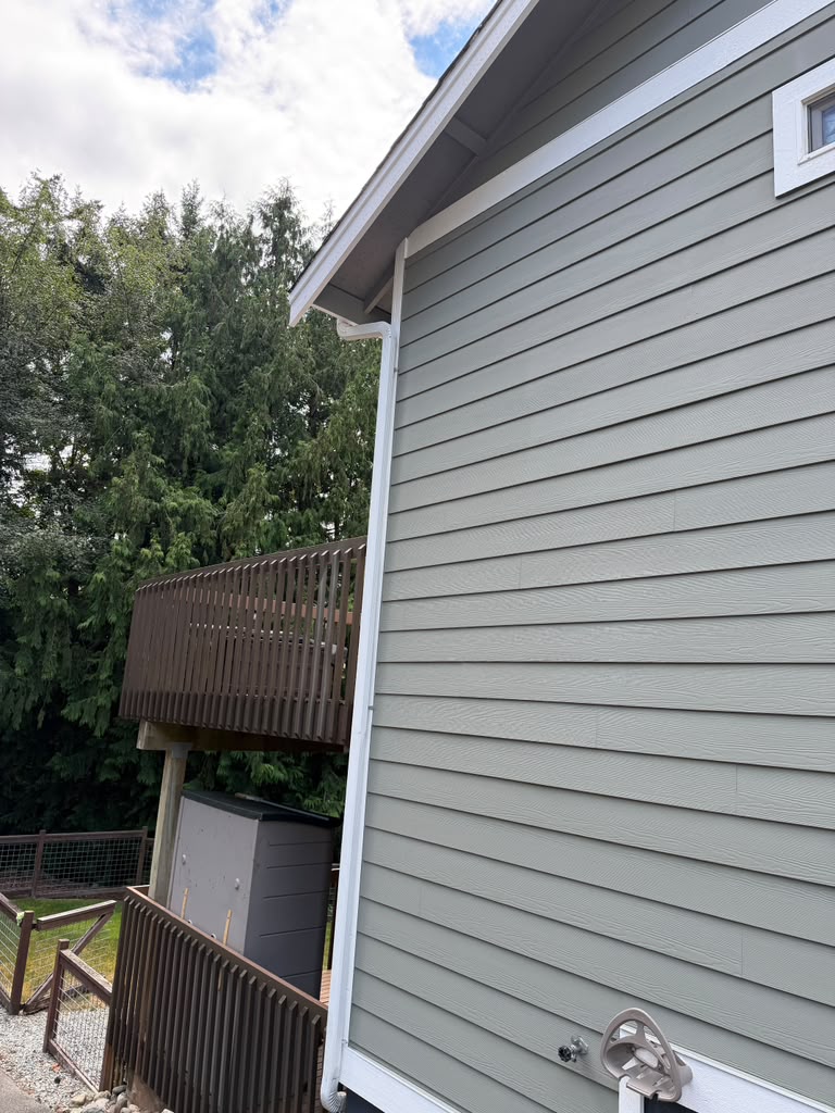 Exterior Paint
